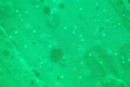 Un brevetto etneo consente per la prima volta di quantificare totalmente le microplastiche