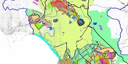 Firetto pensa a un piano regolatore del verde pubblico