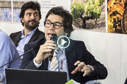 La Viticoltura sempre più 2.0 Ecco cosa fanno le aziende siciliane