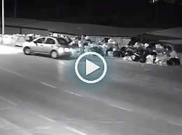 Abbandonano cane in strada Individuati grazie a riprese