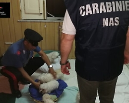 Catania, ancora alimenti scaduti
e non tracciabili nel locale “in”