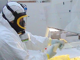 Allarme per l'epidemia di carbonchio sui Nebrodi, ma non ci sono rischi alimentari