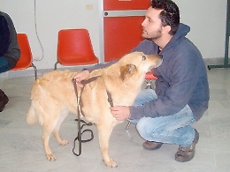 La relazione con l'animale che aiuta a curare il corpo ma anche l'anima