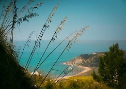 Resort nella riserva di Torre Salsa Wwf sconfessa delegazione locale