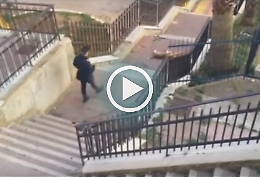 Realmonte, cane semina panico Carabinieri costretti ad abbatterlo