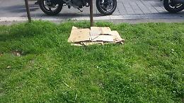 Rifiuti disseminati sul marciapiede in zona piazza Jolanda a Catania