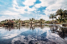 Al Radicepura Garden Festival la natura si fa arte: ecco il turismo green
