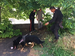 Giarre, controlli al liceo Leonardo, in un'aula trovati cinque spinelli
