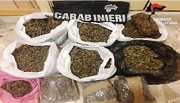Catania, nel sottotetto nascondeva 8,5 chili di marijuana