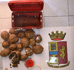 Scicli, la droga era stata sepolta sotto un albero: un arresto