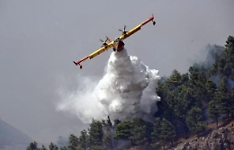 Ogni giorno in Sicilia 135 incendi boschivi: i numeri choc rivelati dall'Antimafia