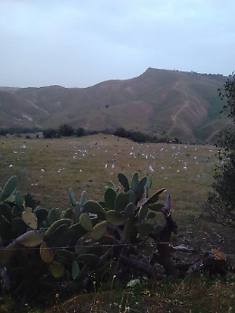 Le colline di Sieli invase dalla plastica