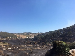 Agrigento, a fuoco bosco Mosella, in azione un Canadair