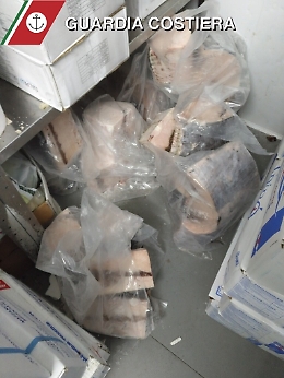 Pesce congelato e privo di tracciabilità: era destinato a ristoranti di Ognina