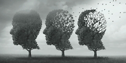 Bimbo dimenticato in auto: cos'è l'amnesia dissociativa transitoria