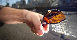 Divieto di avvicinarsi ai vicini di casa dopo lancio di bottiglie e minacce