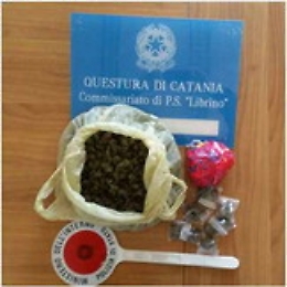 Catania, due cani fiutano droga in palazzo a Librino