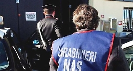 Palermo, sequestrate tre tonnellate di grano e mangimi. Il Nas: «Non erano tracciati»