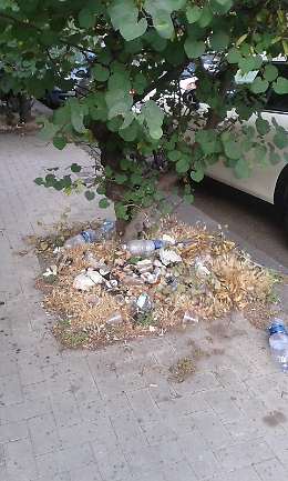 Catania: aiuole piene di rifiuti in via Mogadiscio