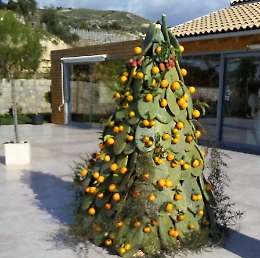 Un albero di Natale realizzato con pale di fico d'india e arance