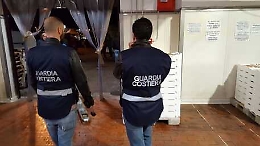 Baccalà sbiancato con la calce: a Catania sequestrate 6 tonnellate