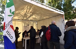 Il Pd di Zingaretti, la lezione dei gazebo e la sindrome di Catarella