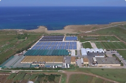 Marzamemi, azienda ittica costretta a chiudere per danni maltempo