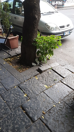 Catania: strade sporche nei pressi di Via Plebiscito