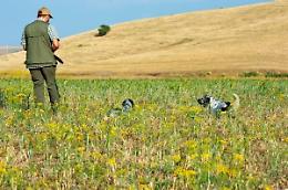 Caccia in Sicilia, accolto in parte il ricorso della Regione