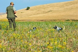 «Il calendario venatorio non si tocca», il Tar boccia le richieste dei cacciatori