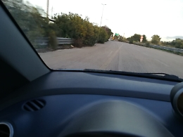 Palermo-Catania: vegetazione invade carreggiata, rischi per la viabilità