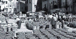 Gli agrigentini incontrano Agrigento