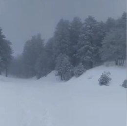 Meteo Sicilia, guarda come nevica!