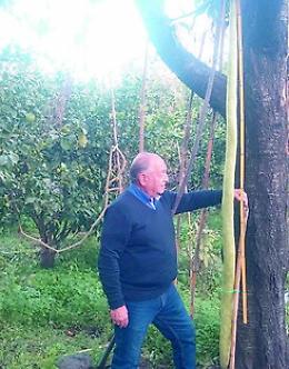 A Macchia di Giarre una "cucuzza" da guinness dei primati