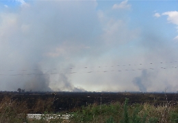 Agrigento, dà fuoco alla boscaglia, arrestato piromane di 70 anni