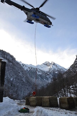 Balle di fieno da elicottero per bovini intrappolati dalla neve