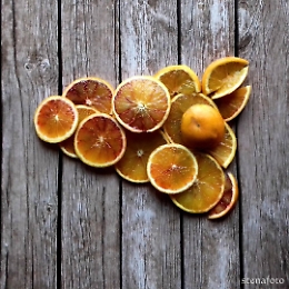 In dieci scatti la storia d'amore tra gli agrumi e la Sicilia