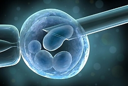 Maternit&agrave; surrogata, d&agrave; ovociti: &egrave; madre in stato civile