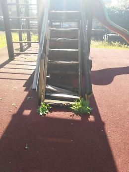 Ecco in che condizioni versa il parco Ghandi a Catania: verde pubblico dimenticato