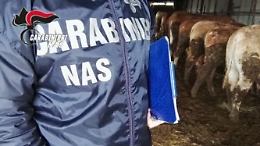 Scarsa igiene e prodotti non tracciati in bar e ristoranti a Marzamemi: sanzioni per quasi 11mila euro