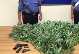 Armi e droga in casa, pensionato e badante arrestati a Bronte