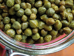 Alle Eolie scoppia la “guerra” tra Lipari e Salina sul cappero Dop