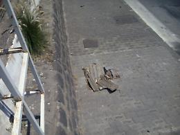 Catania, da anni pericoloso tombino in viale Ulisse: assessore guardi!