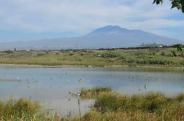 Ponte Barca, quel paradiso dimenticato a due passi dalla città