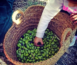 Domeniche in campagna