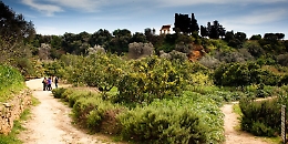 Cantine Aperte a Donnafugata