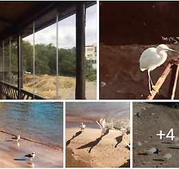 Catania, porticciolo di Ognina: una piccola oasi letteralmente devastata