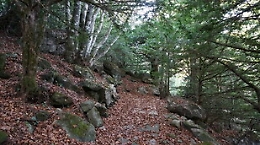 Oculista messinese disperso tra boschi di Caronia