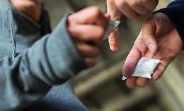 Coca e marijuana tra movida e scuole: i giovani pusher della costa tirrenica