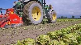 Sicilia, sei milioni di euro per l'agricoltura